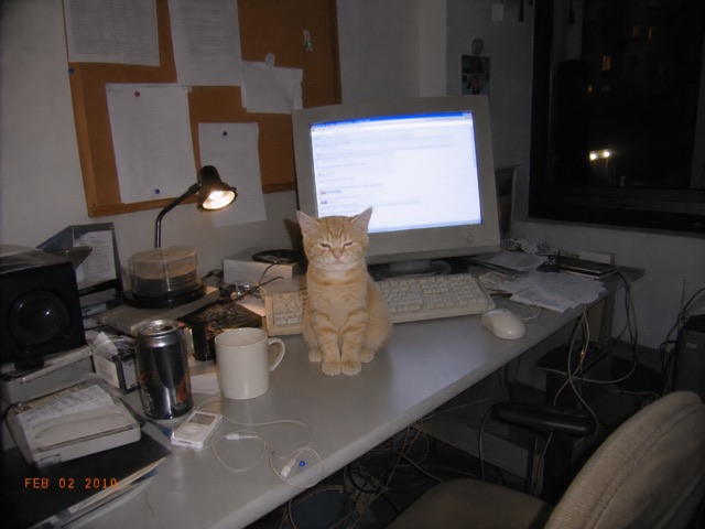sirius at the desk, 2010